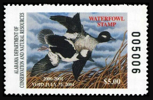 Waterfowl Stamp 2000