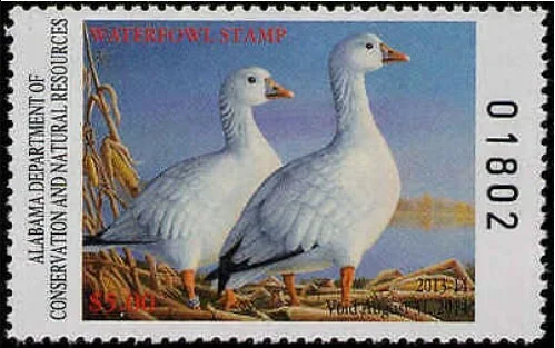 Waterfowl Stamp 2013