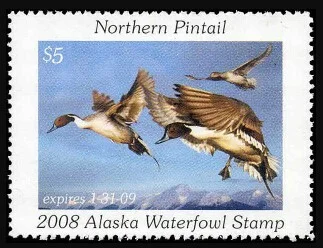 Alaska Waterfowl Stamp 2008