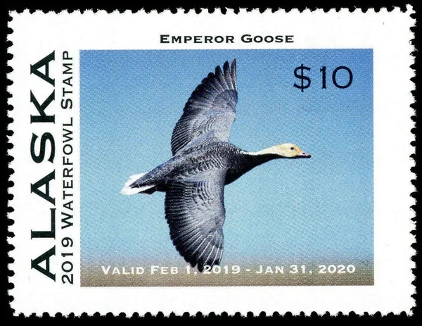 Alaska Waterfowl Stamp 2019