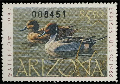 Arizona Duck Stamp 1987